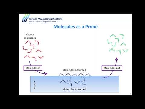 Fundamentals of Sorption Science using molecules as a probe